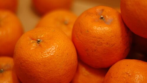 Россияне съедают треть всех мандаринов в предновогодние недели