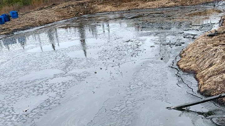 В Сибири разработали метод устранения нефтяных разливов с помощью бактерий